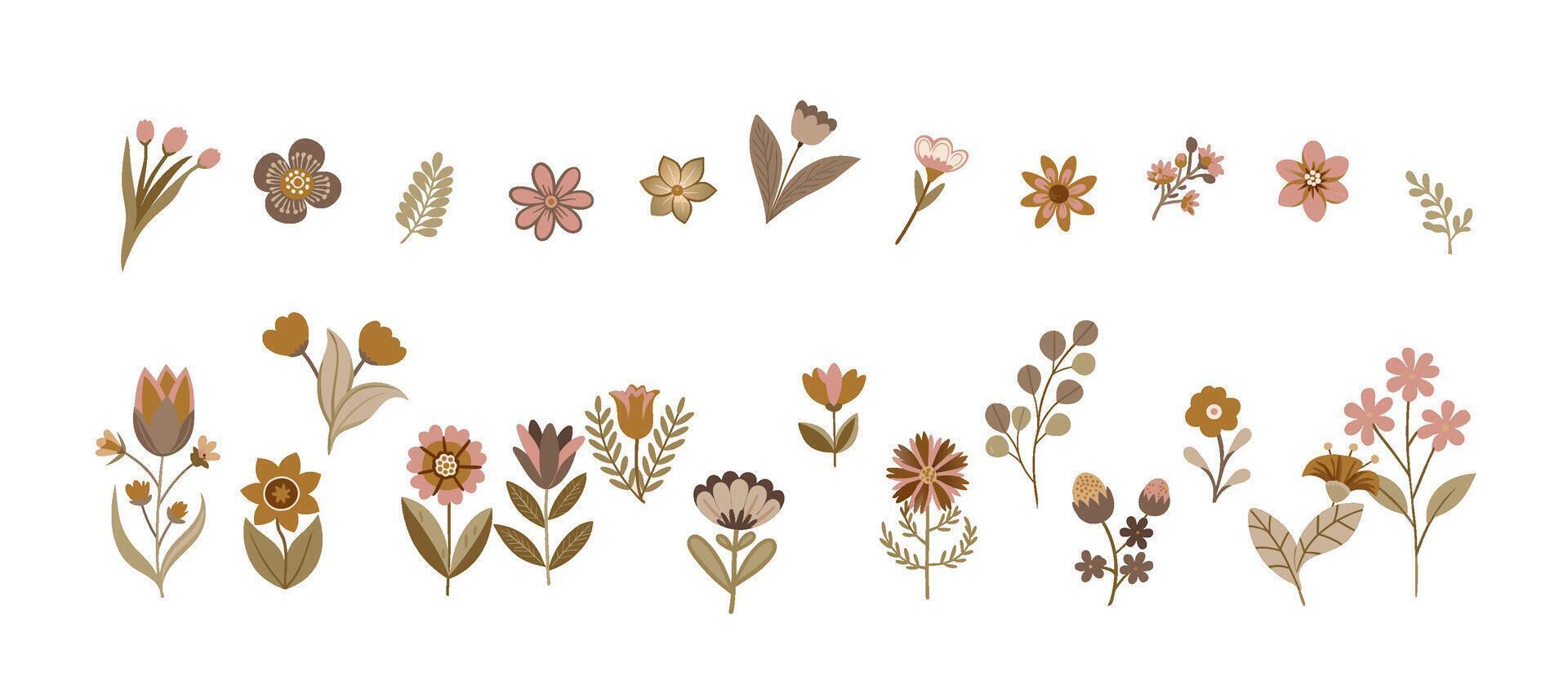 25 coffee colored flowers arranged in combination vector