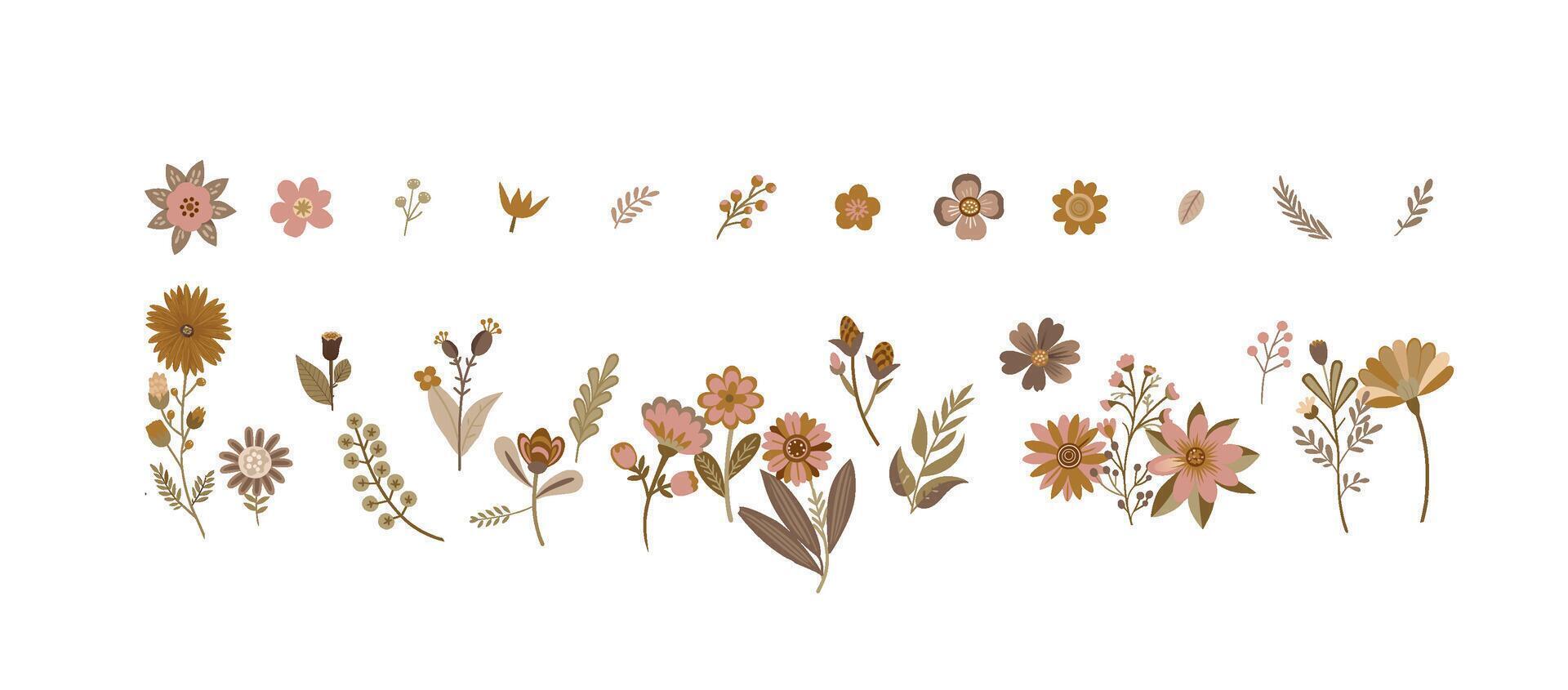 Coffee colored plants with flat flowers and leaf shapes vector