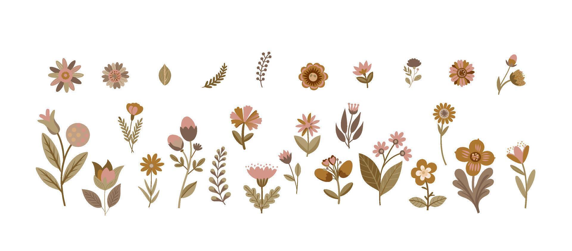 Various coffee colored flowers and leaves vector