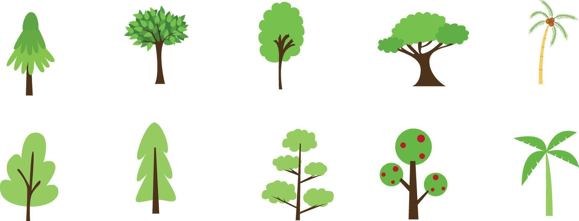 Various Forest tree Illustration vector