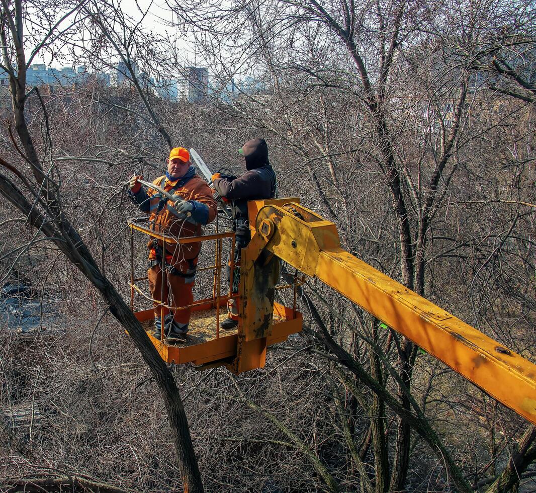 Dnepr, Ukraine - 03.20.2024 Municipal service workers stand with a chainsaw in a crane basket and trim dangerous trees photo