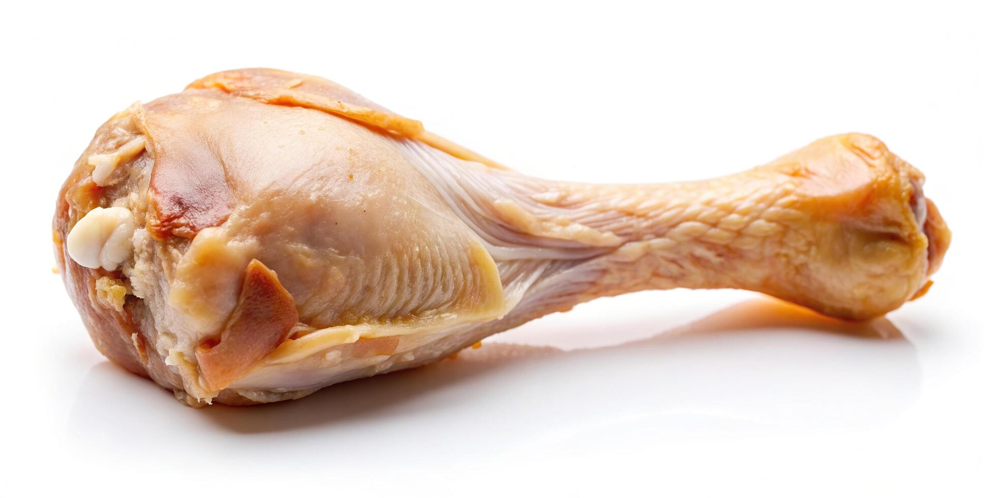 Isolated macro of eaten chicken drumstick bone Low Angle, culinary, meat, juicy, cuisine, macro, leftover, nutrition, bone marrow, bone, dining, delicious, eaten, leftovers, food photo