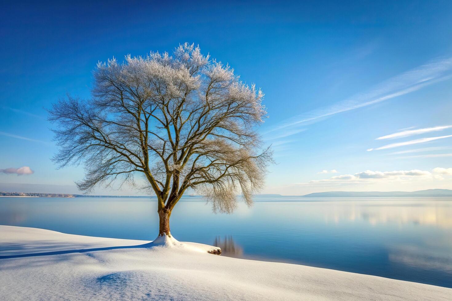 winter scene, bare tree, icy, tree, snowy, landscape, isolated, serene, frozen, white, nature, cold,lonely, A lonely tree stands against the backdrop of a snow covered lake during winter photo
