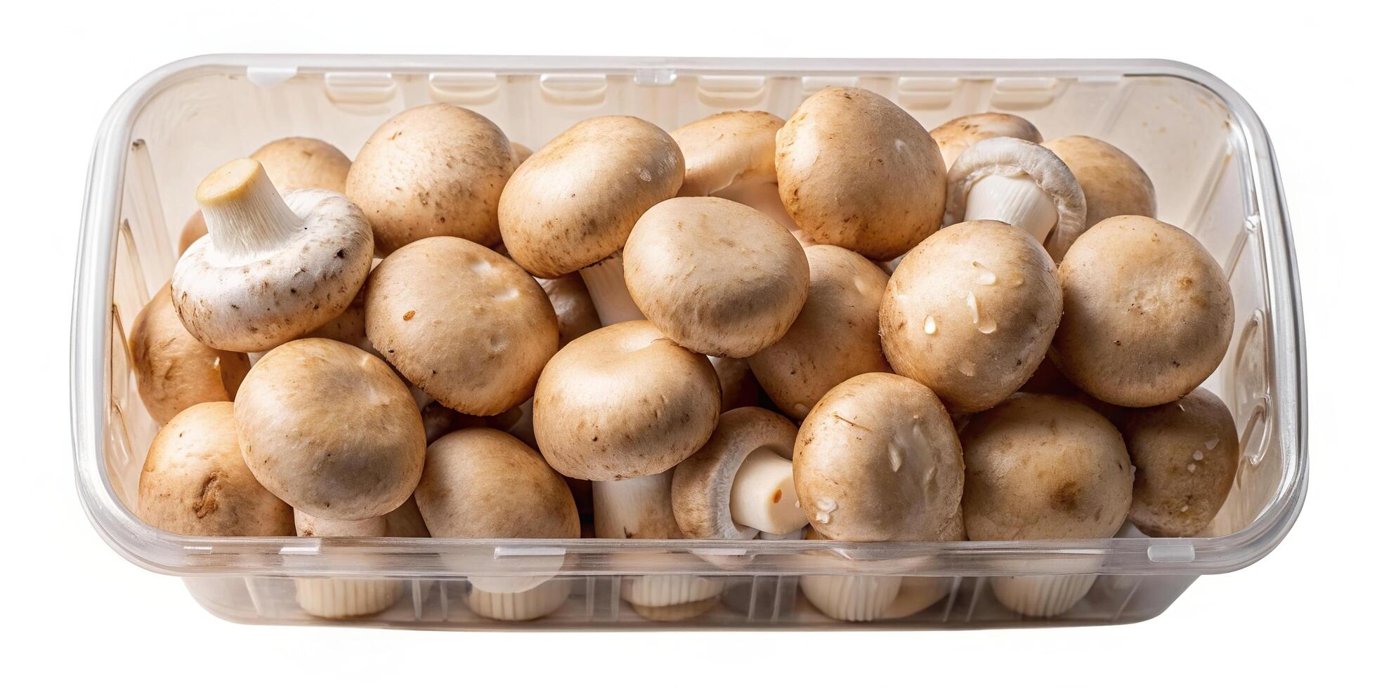 Champignons in plastic packaging isolated on white Eye Level, white background, food, organic, packaging, fungi,champignons, healthy, mushrooms, nutritious, fresh, vegetarian photo