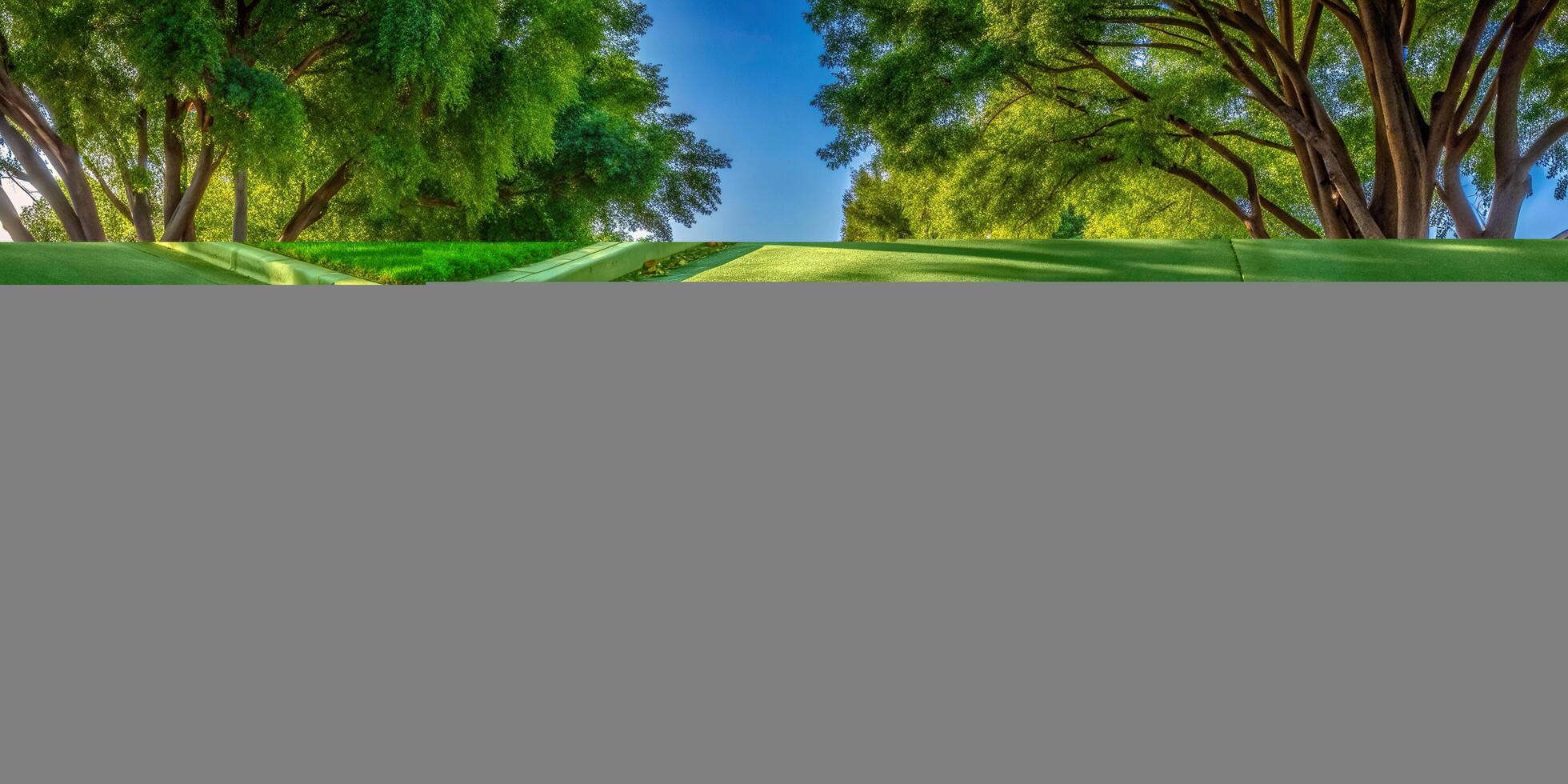 landscape, homes, serenity,California, A picturesque California residential neighborhood features a perfectly symmetrical tree lined street creating a harmonious and inviting atmosphere photo