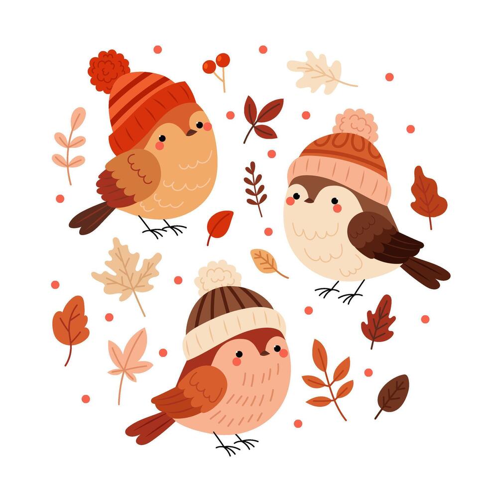 Birds. A set of birds in autumn hats. Set of decorative autumn leaves and twigs. Autumn forest birds. Flat style illustrations on white background. vector