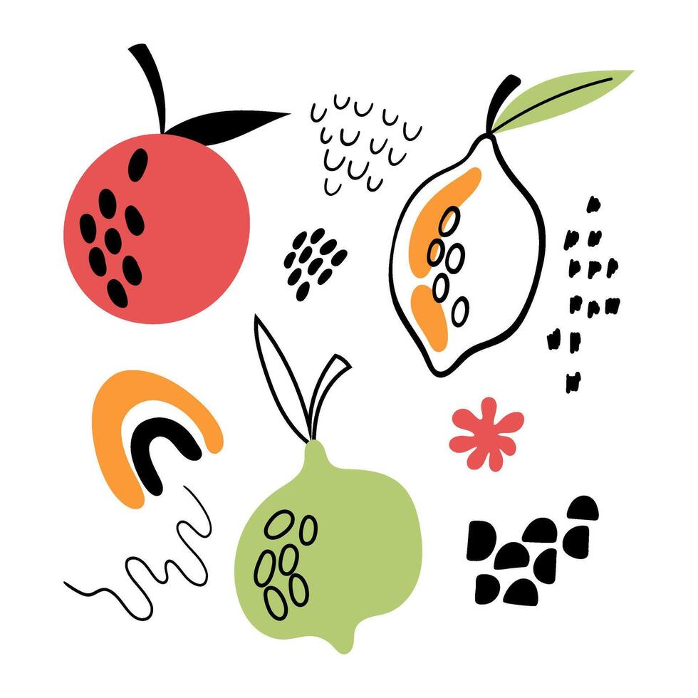Set of abstract exotic fruits with decorative elements. Abstract orange, lemon, lime. Abstract elements for backgrounds, textiles, posters, postcards, packaging and more. vector