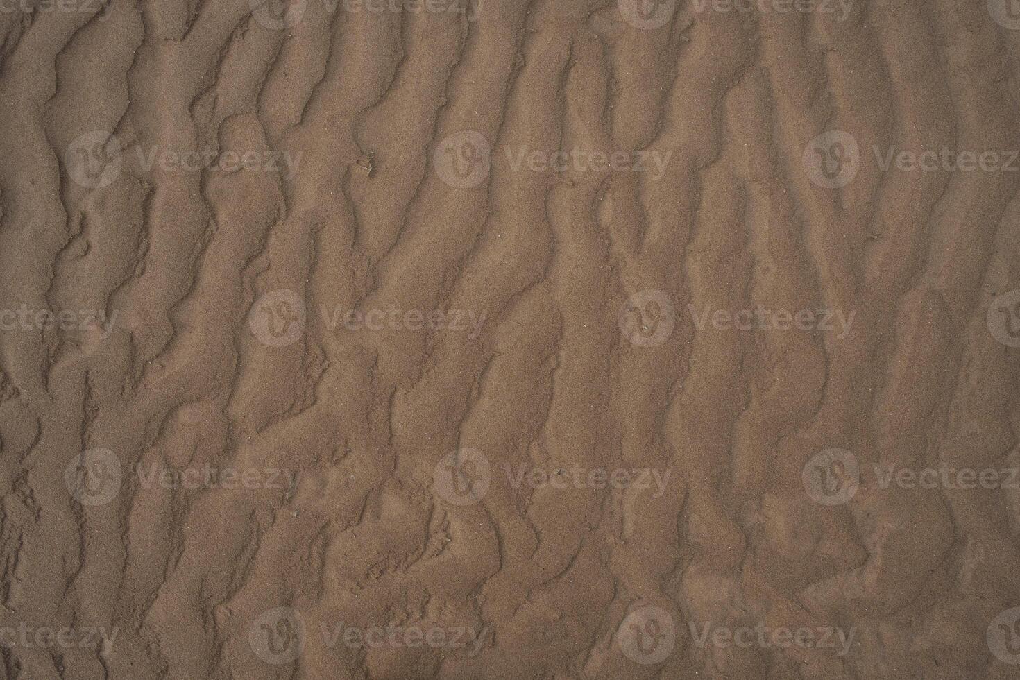 Sand pattern after high tide in the beach photo