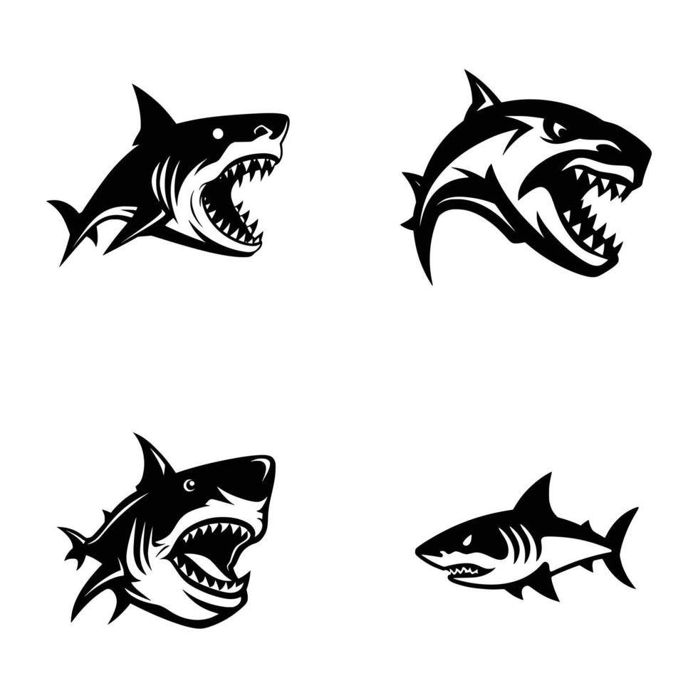 illustration of a shark vector