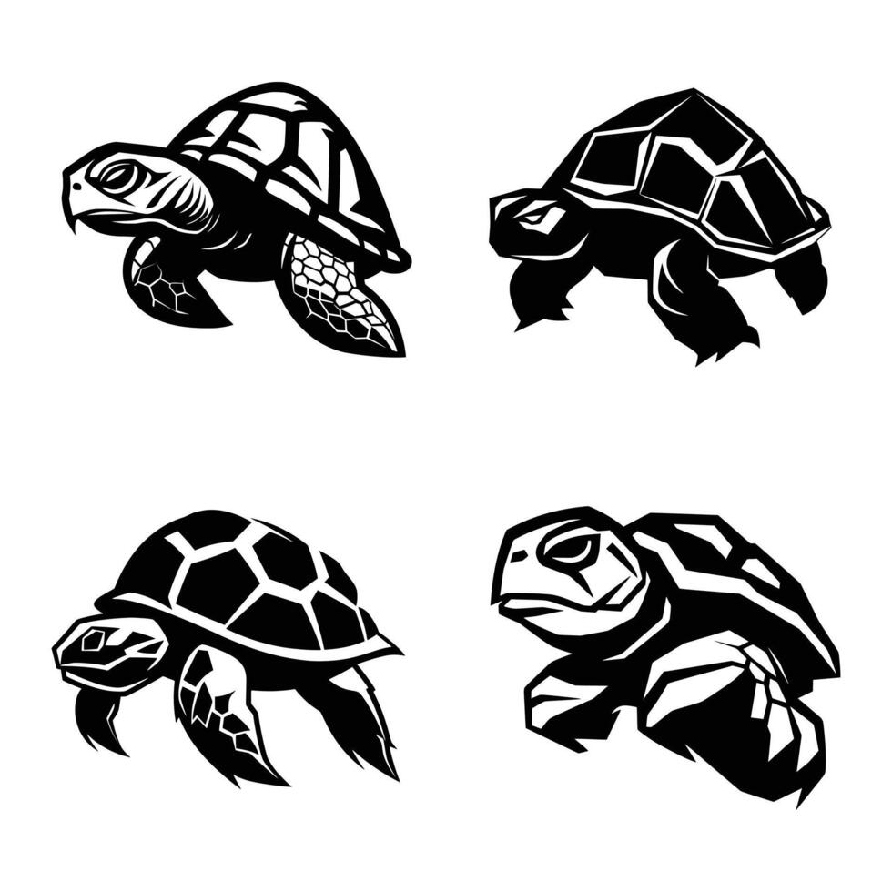 turtle illustration black and white vector