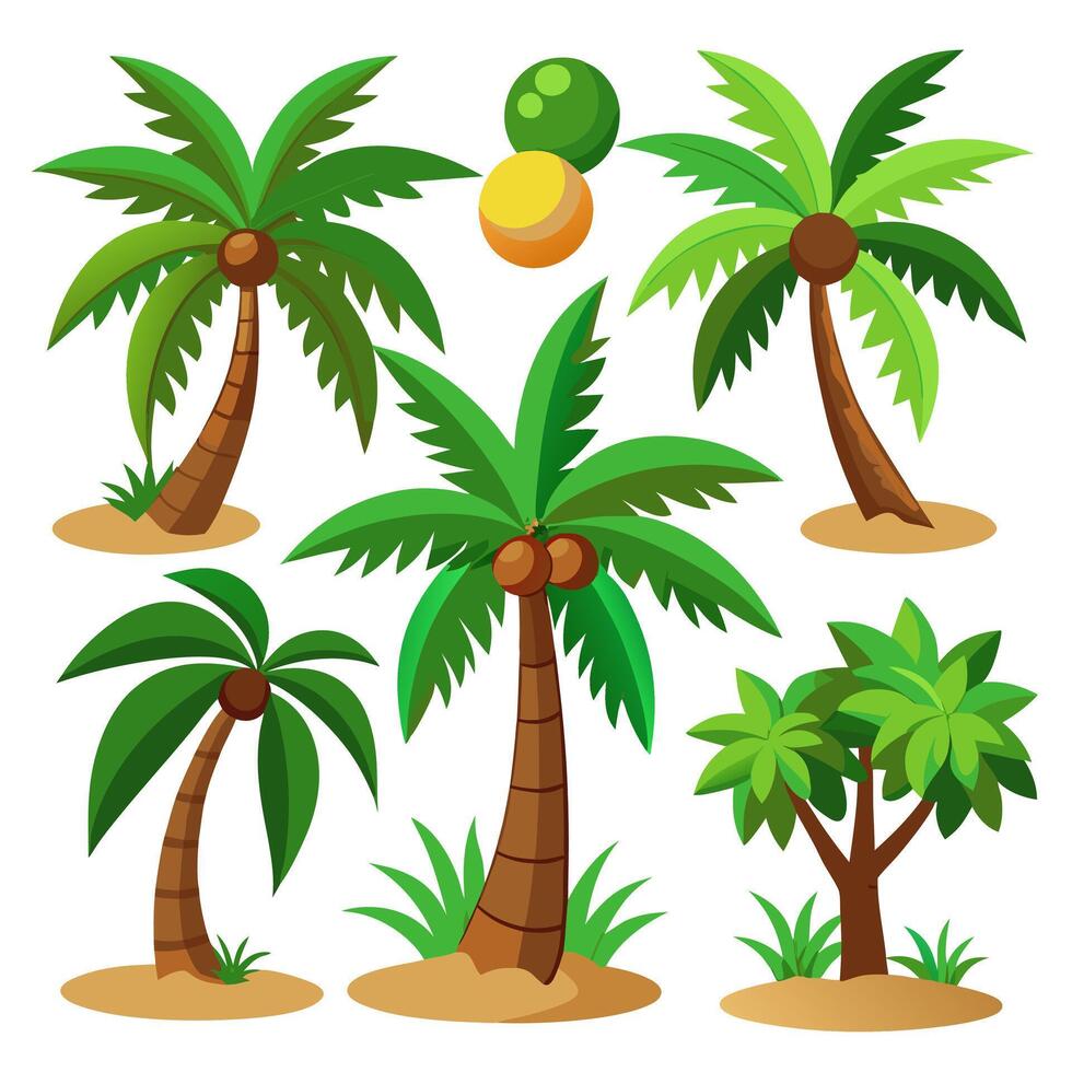 illustration of coconut tree collection vector