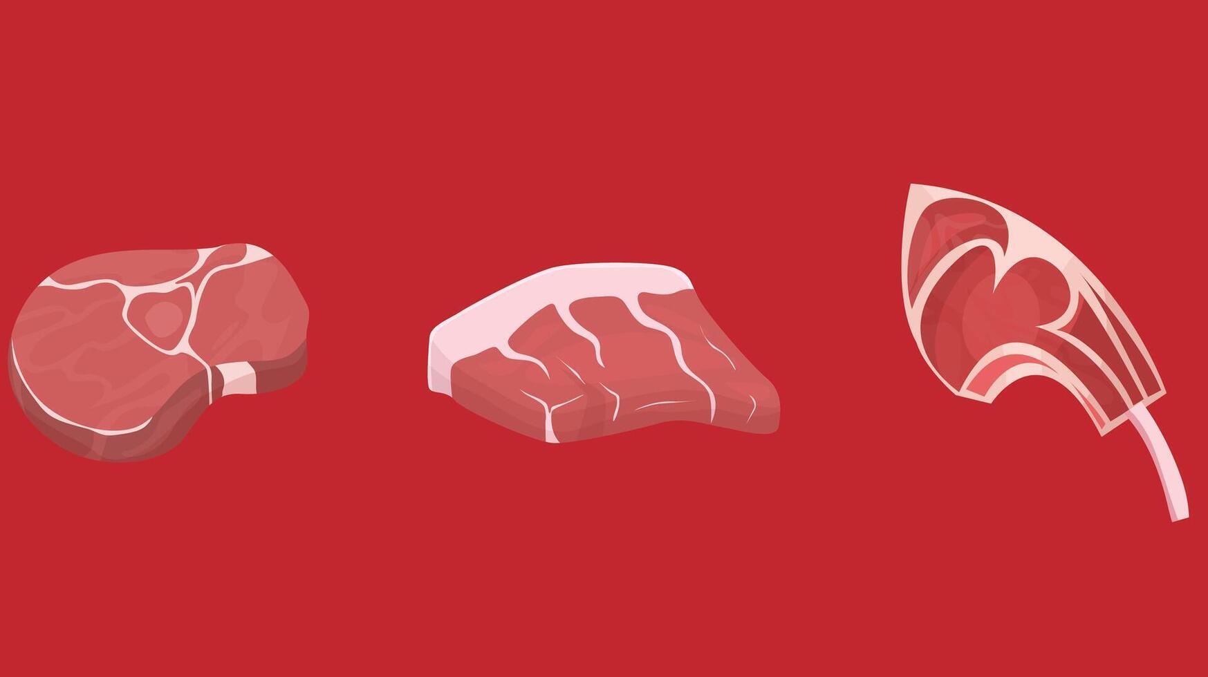 three different types of meat on a red background vector