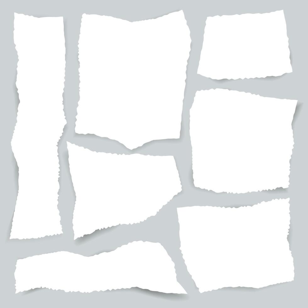 Torn edges paper set. illustration. vector