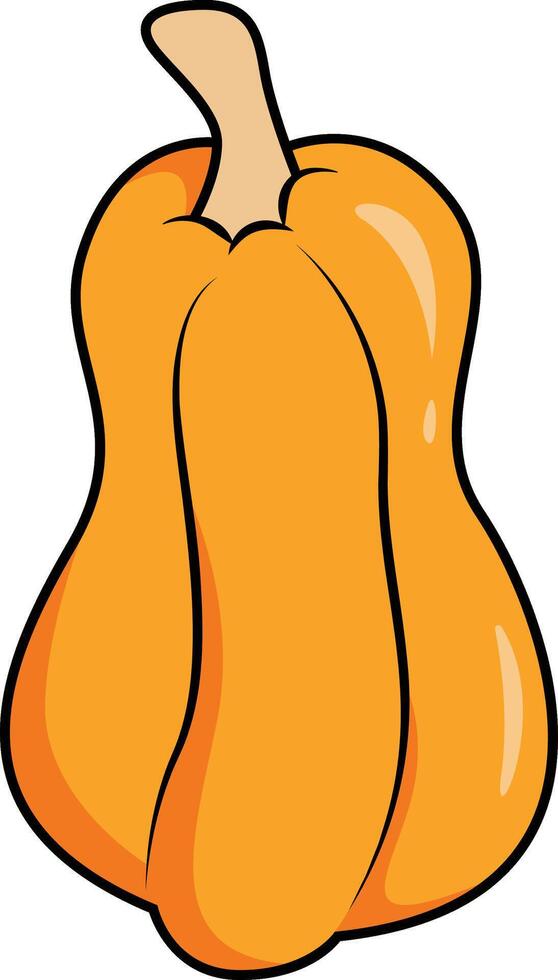 Delicata Squash Pumpkin Clipart vector