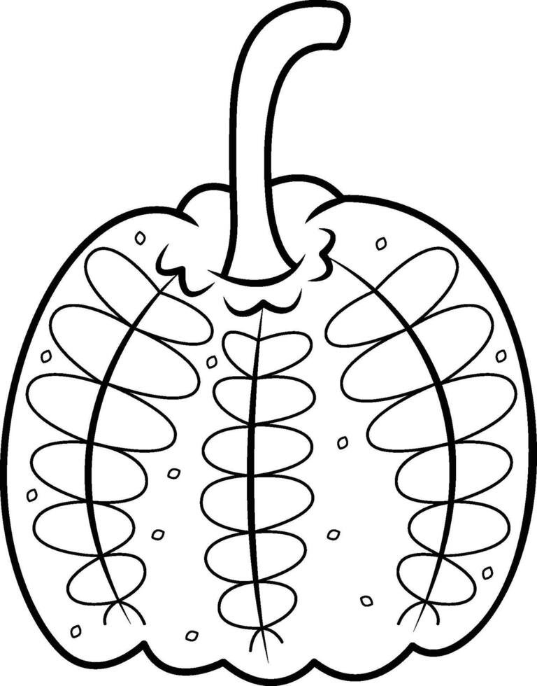 Sugar Pie Squash Pumpkin Outline Drawing vector