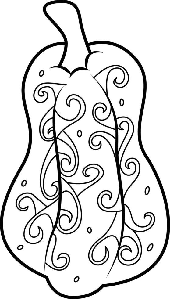 Delicata Squash Pumpkin Outline Drawing vector