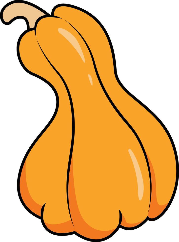 Butternut Squash Pumpkin Clipart vector
