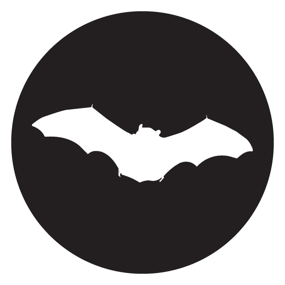 flying bat icon design template vector