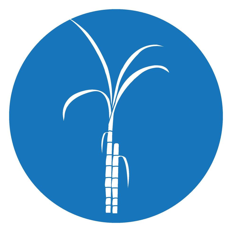 Sugar cane design Logo template vector