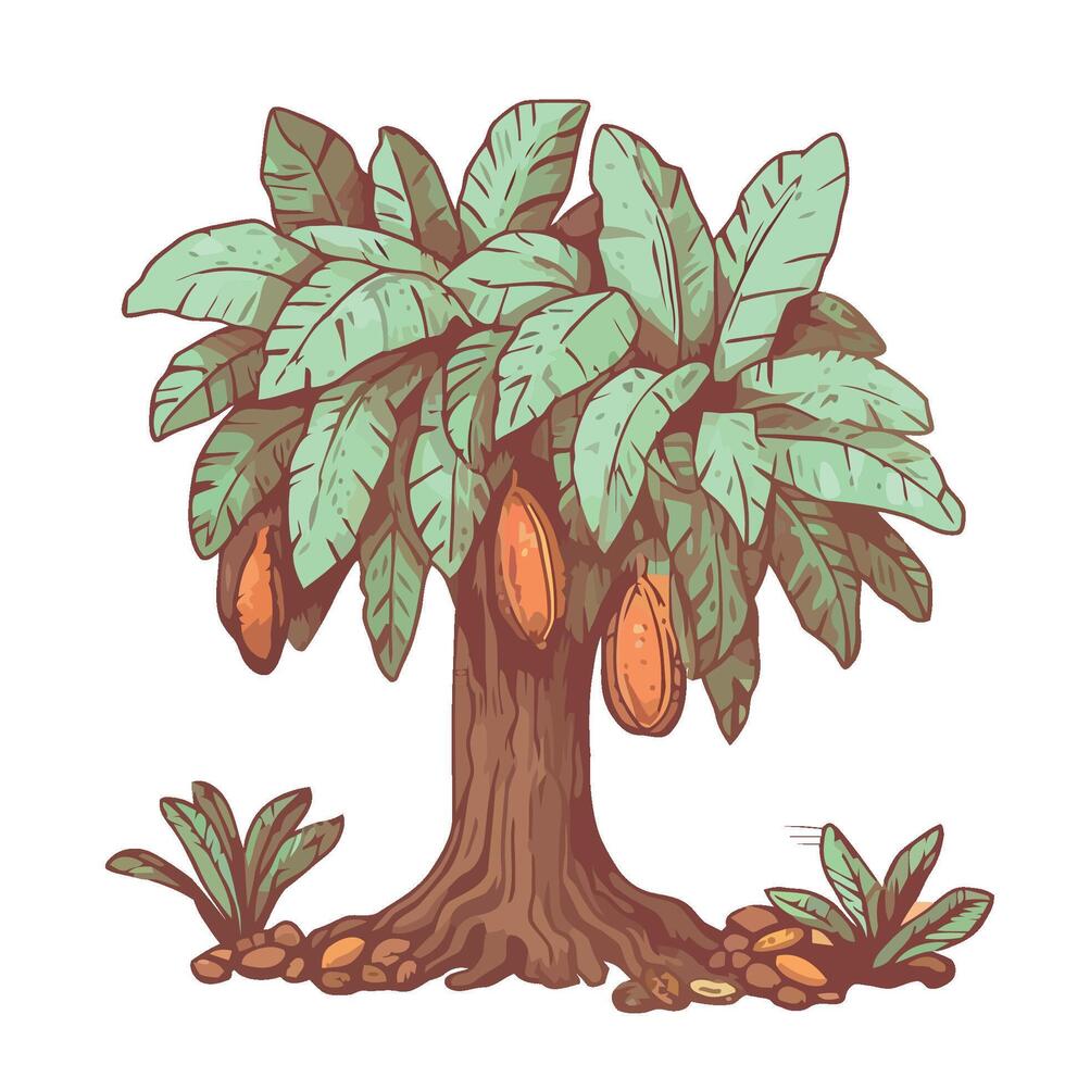 Cocoa tree by julie-anne-s-art vector
