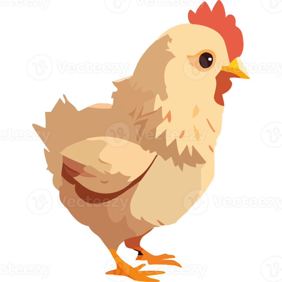 A chicken standing on a black background png
