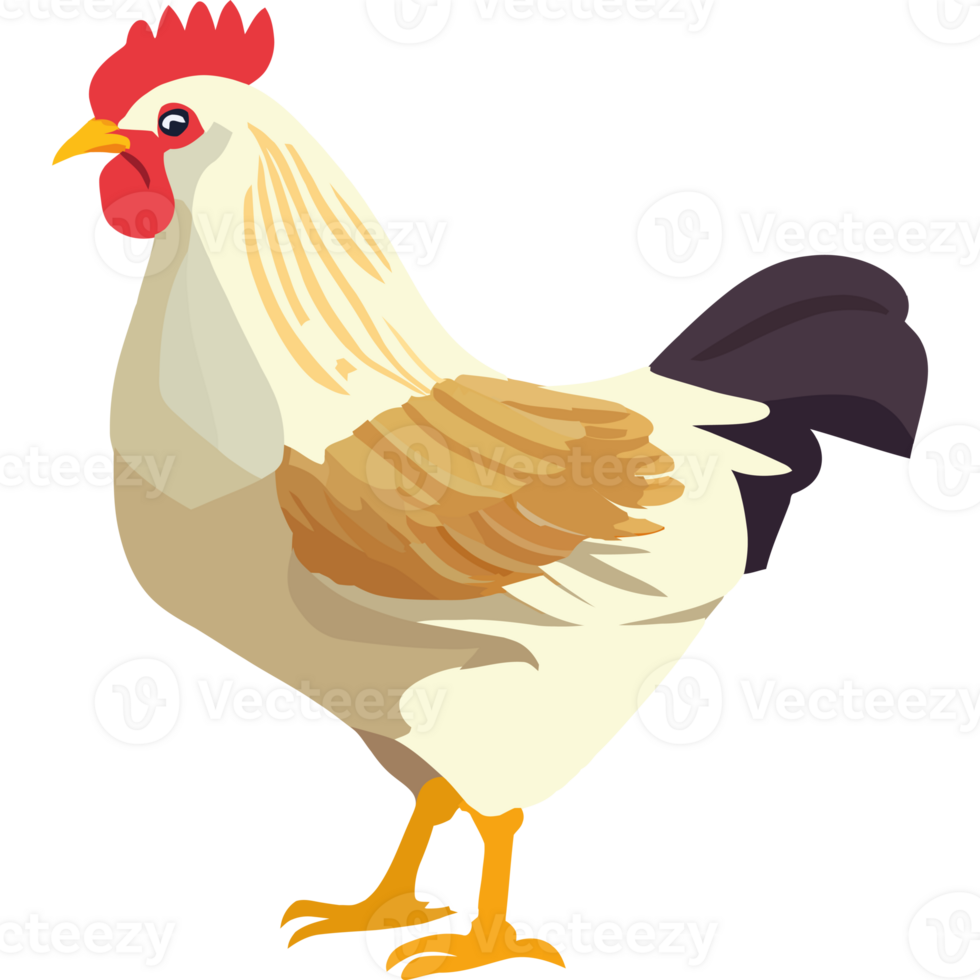 A cartoon chicken standing on a black background png