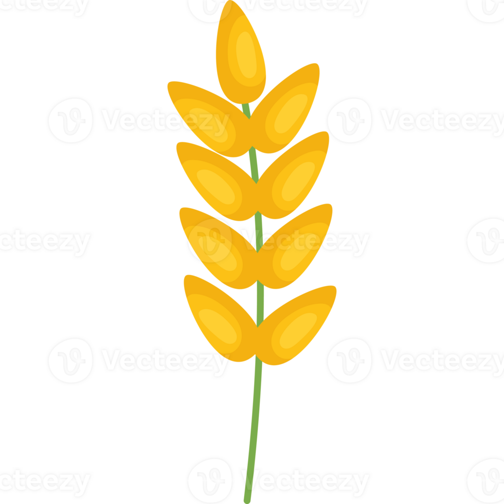 A yellow wheat plant on a black background png