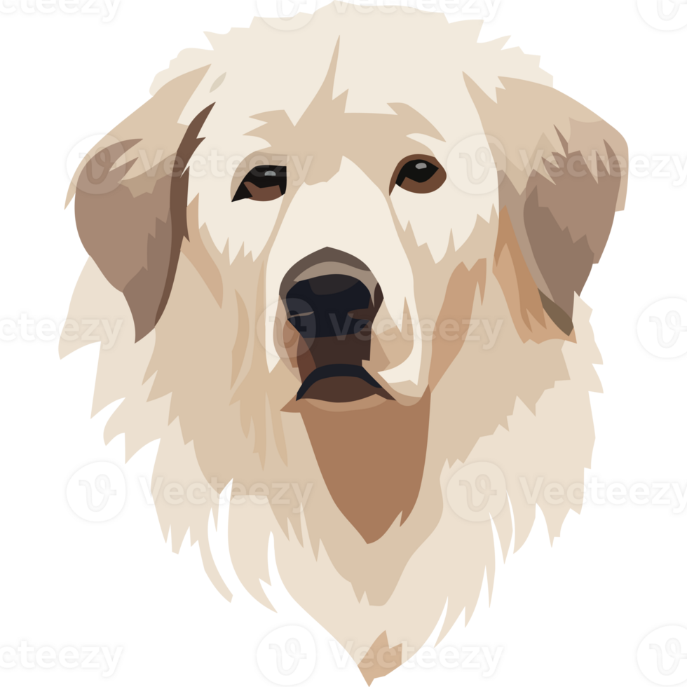 A white dog with a black background png