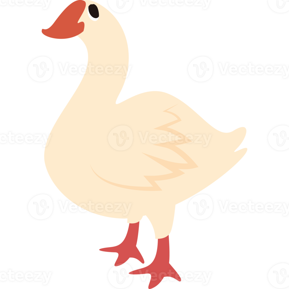 A cartoon duck standing on a black background png