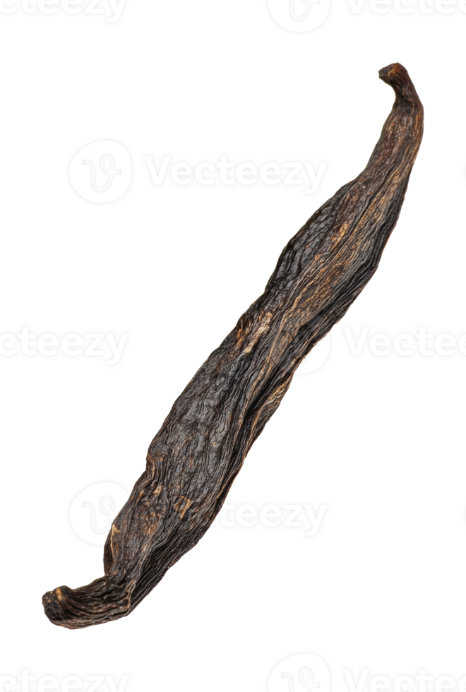 Dried vanilla pod displayed on a white background, cut out transparent png