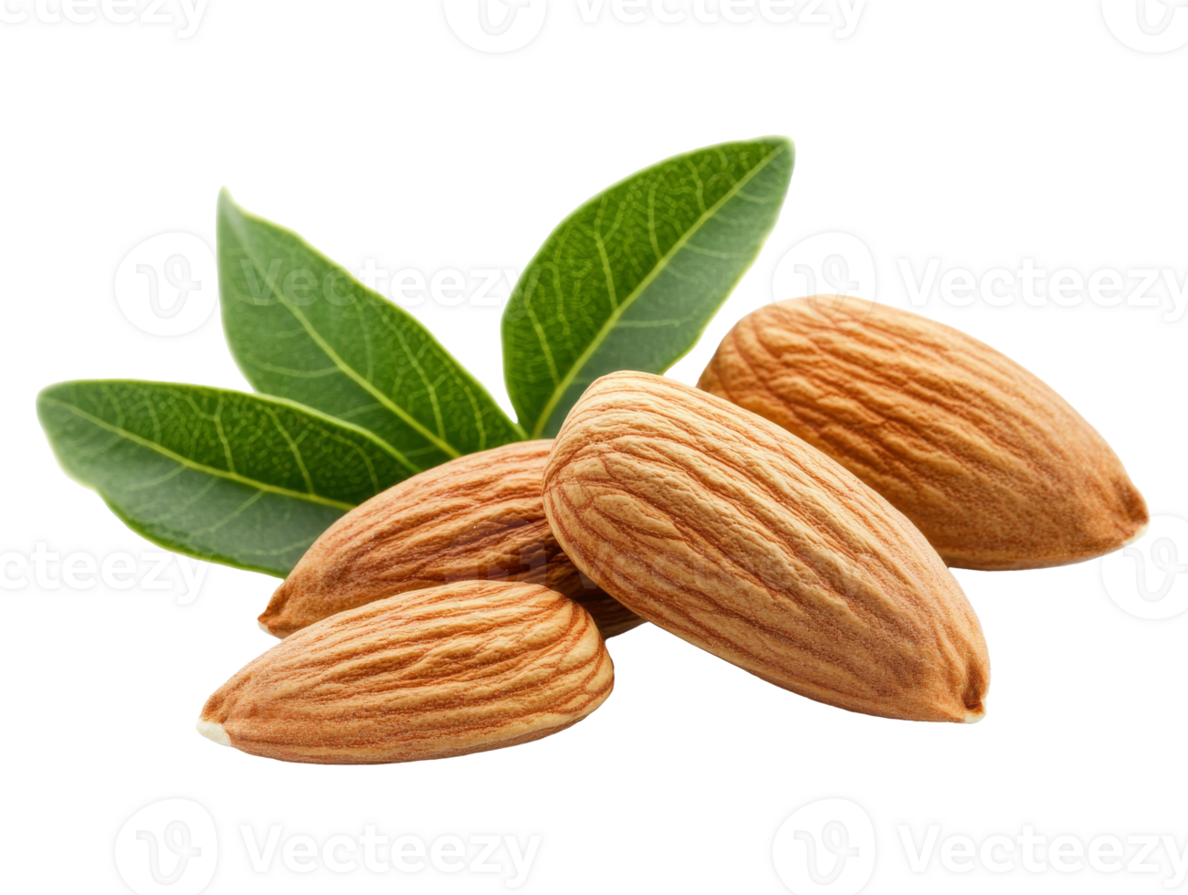 Green-leafed almonds on white backdrop, cut out transparent png