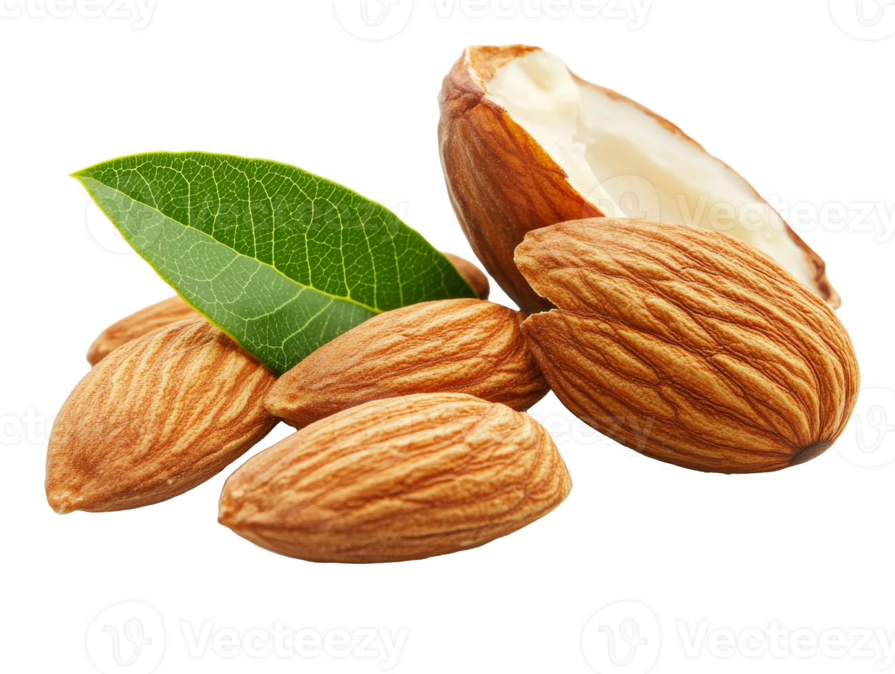 Fresh almonds with green leaves, cut out transparent png