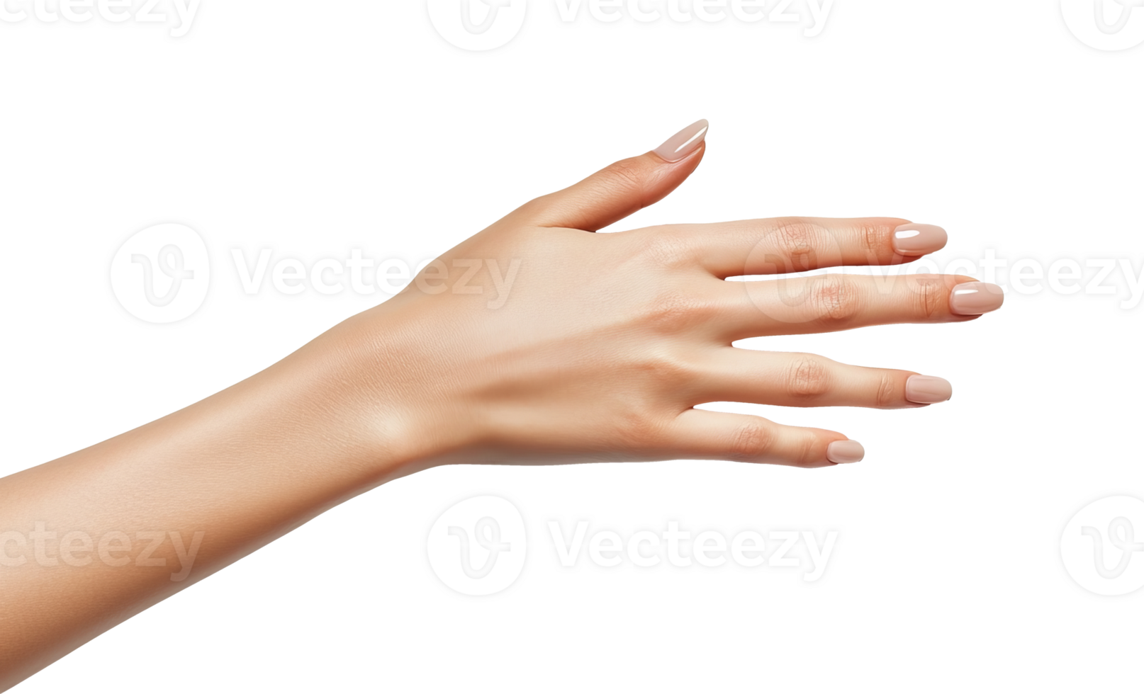 Graceful hand gesture in soft light, cut out transparent png