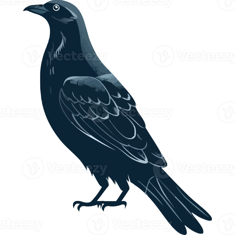A black crow standing on a black background png