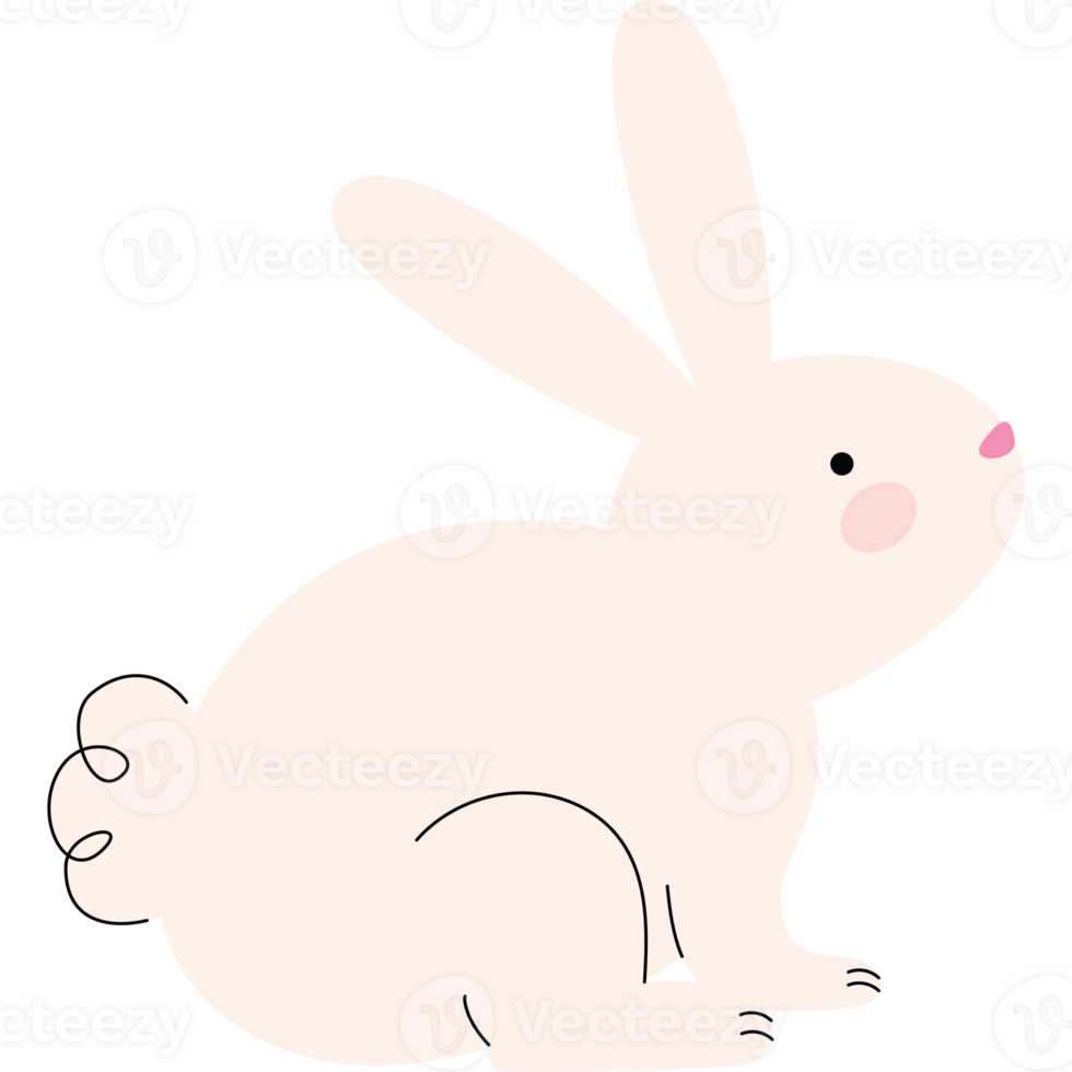 A cute white rabbit sitting on a black background png