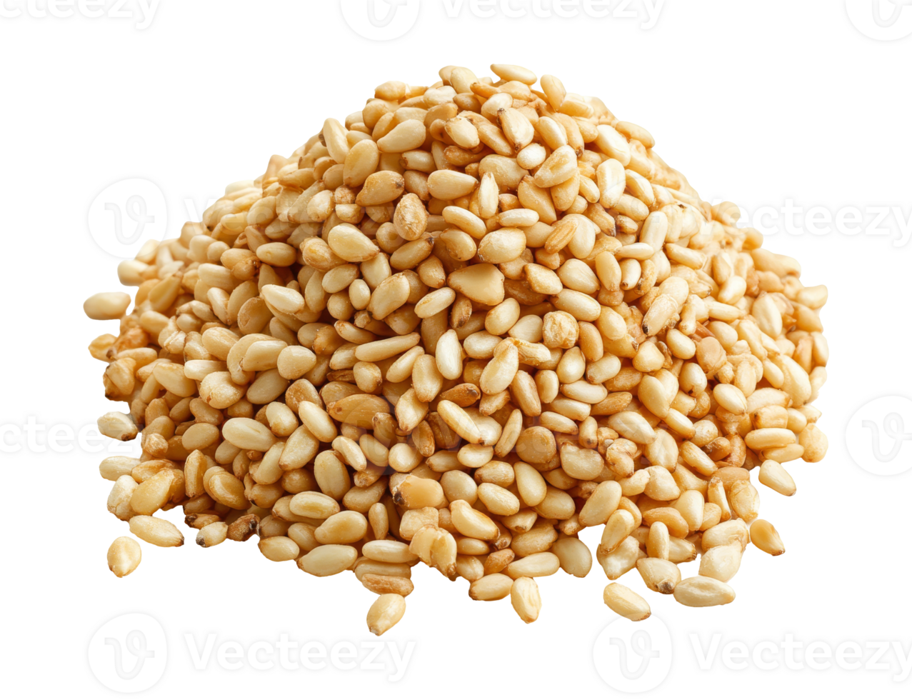 Toasted sesame seeds on white background, cut out transparent png