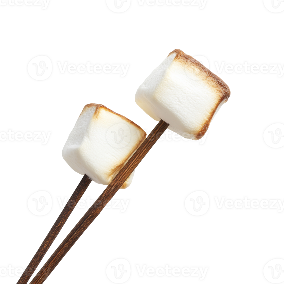 Toasting marshmallows over a campfire at dusk, cut out transparent png
