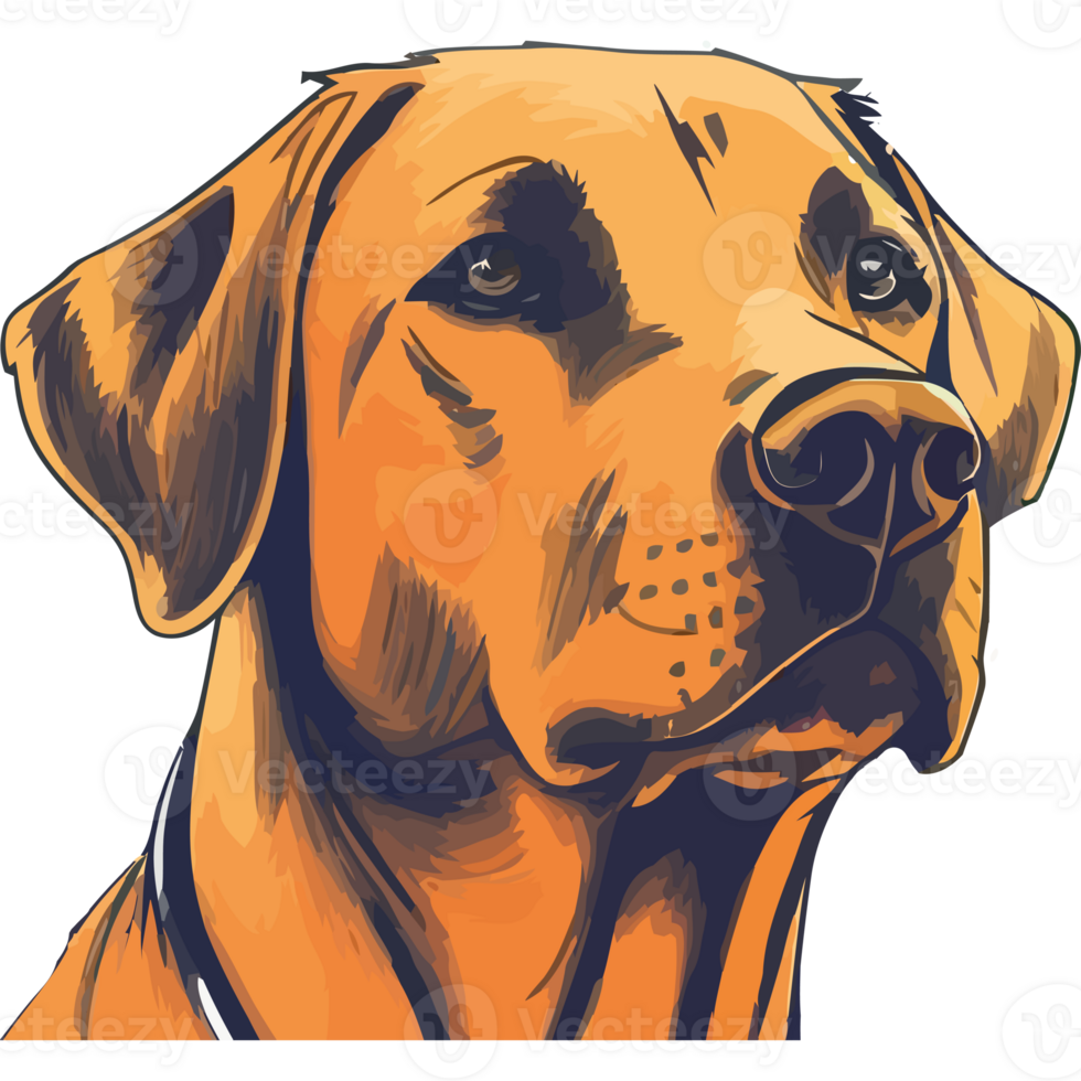 A dog is shown in an illustration on a black background png