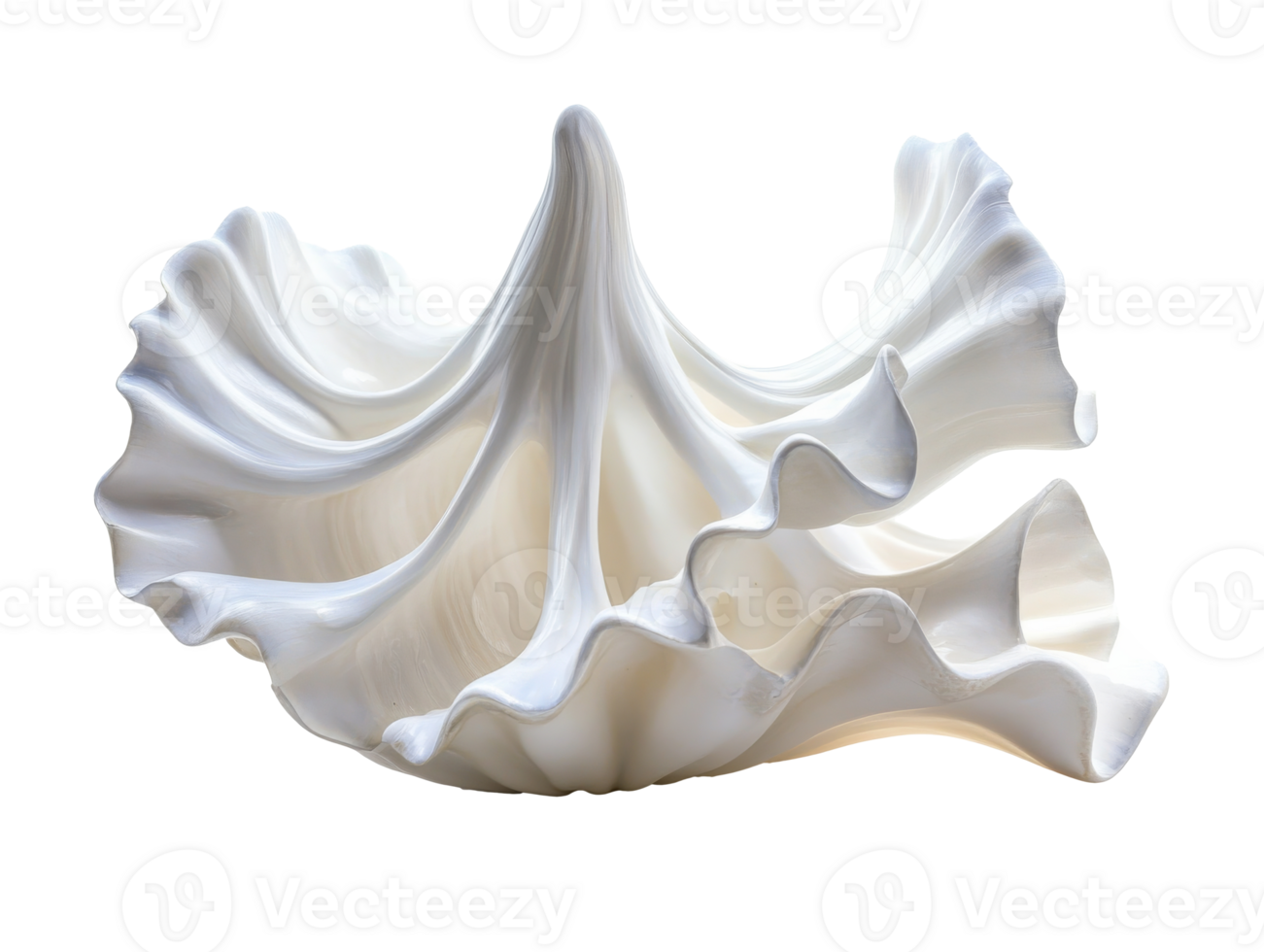 Graceful white shell with smooth curves, cut out transparent png