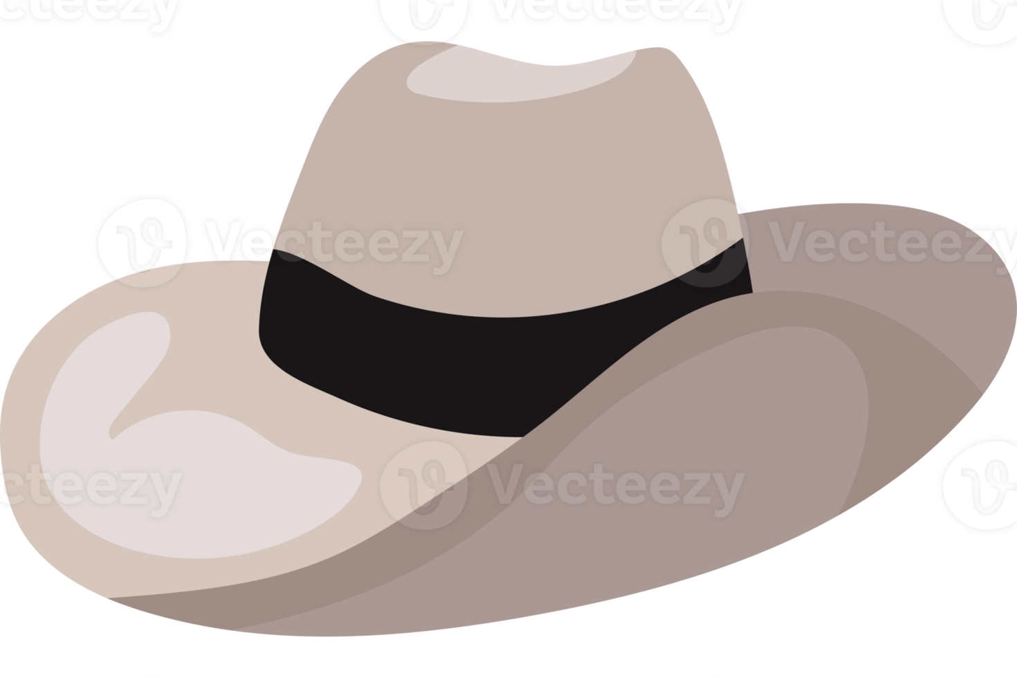 A cowboy hat on a black background png
