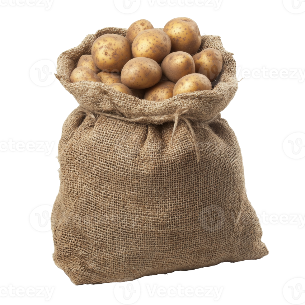 Freshly harvested potatoes in a burlap sack, cut out transparent png