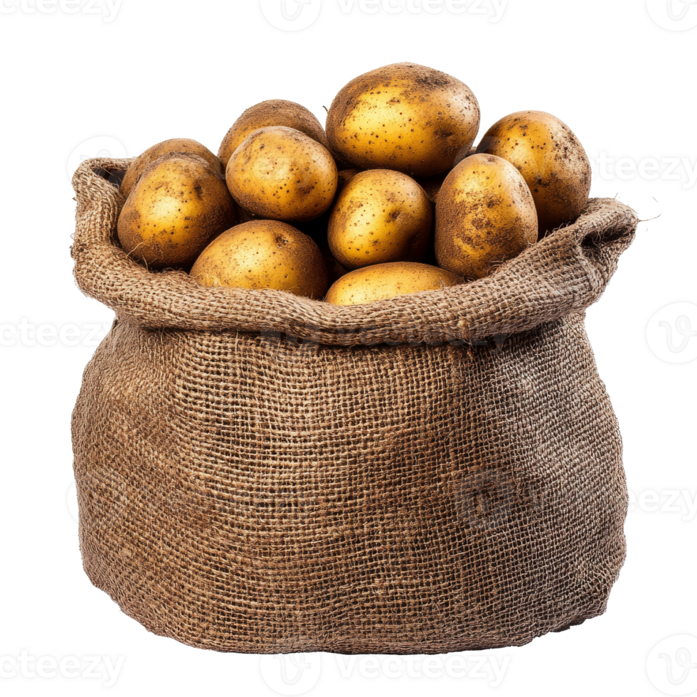 Freshly harvested potatoes in a burlap sack, cut out transparent png