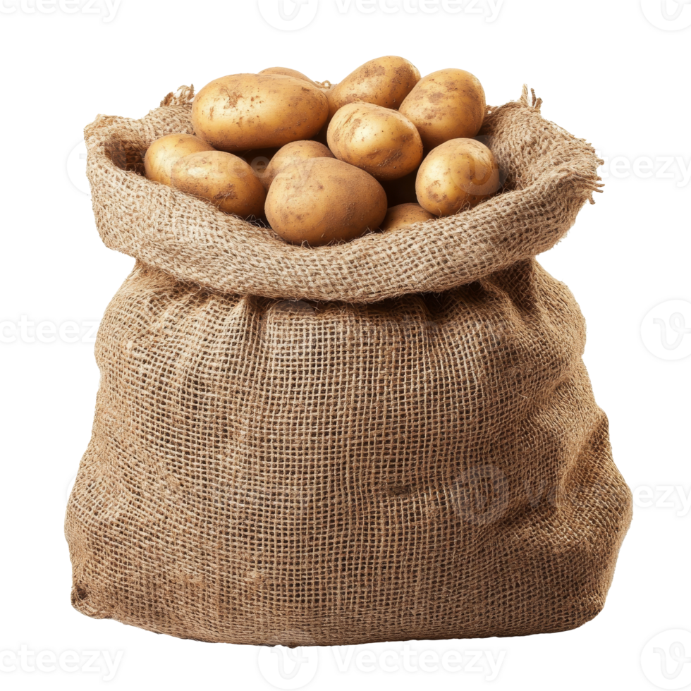 Sack of fresh potatoes on white, cut out transparent png