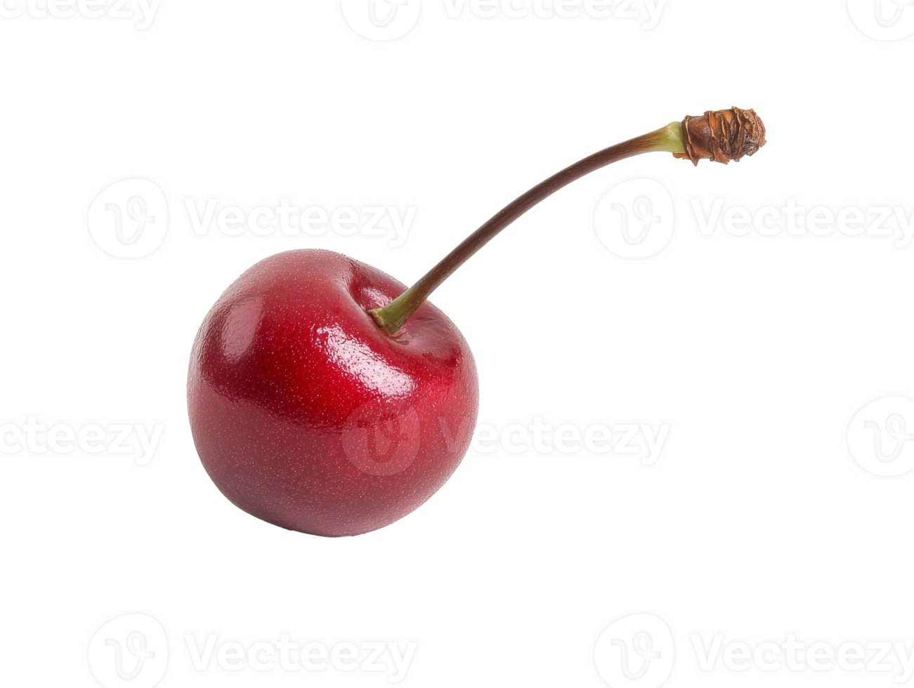 Fresh red cherry with a long green stem on display, cut out transparent png