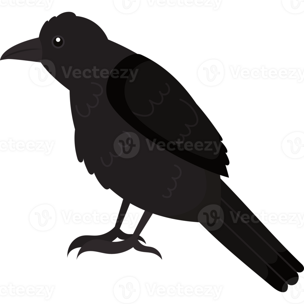 A black crow standing on a black background png