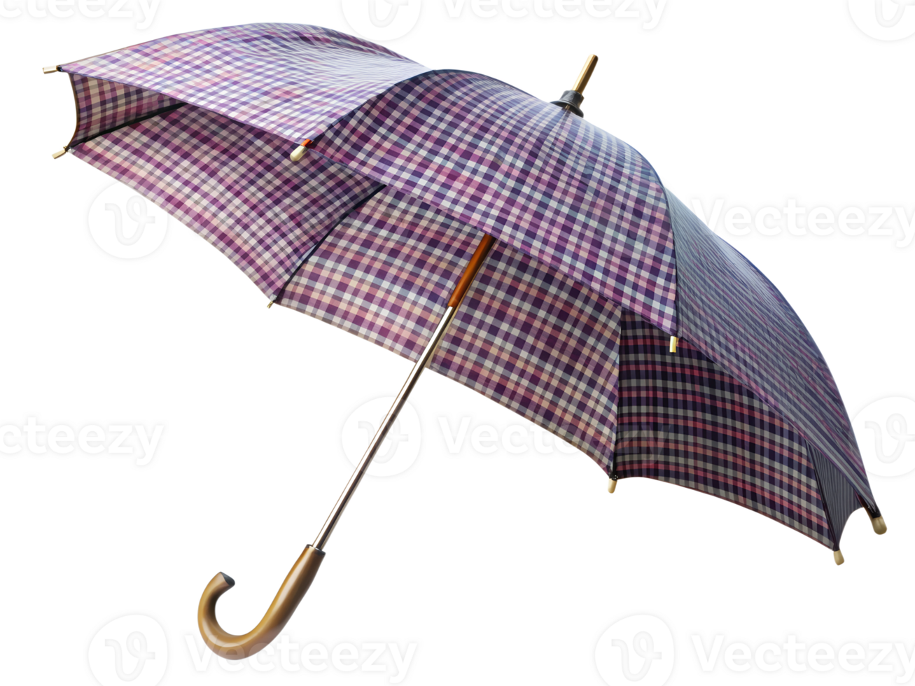 Checkered stylish umbrella on display, isolated transparent png