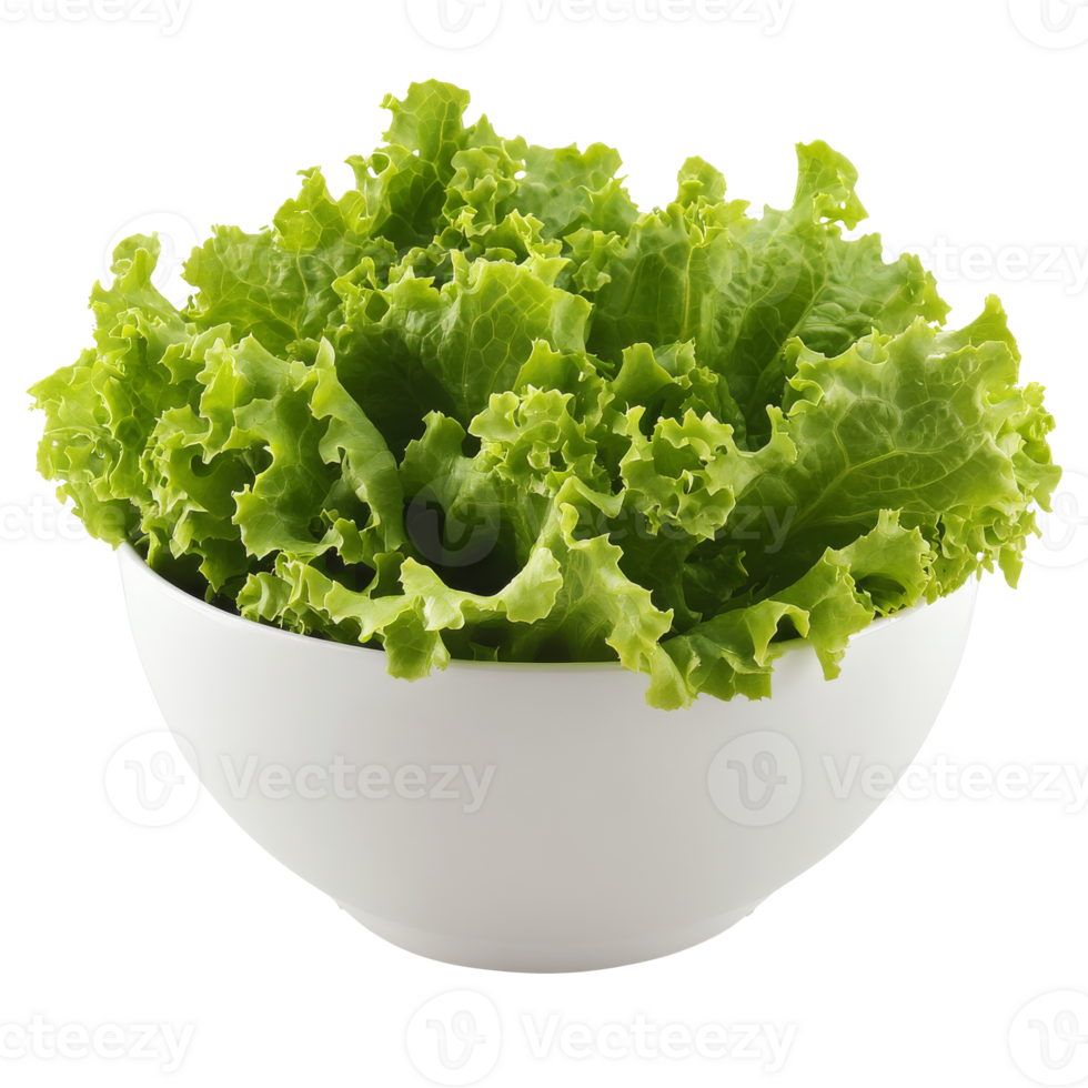 Fresh lettuce in a white bowl, cut out transparent png