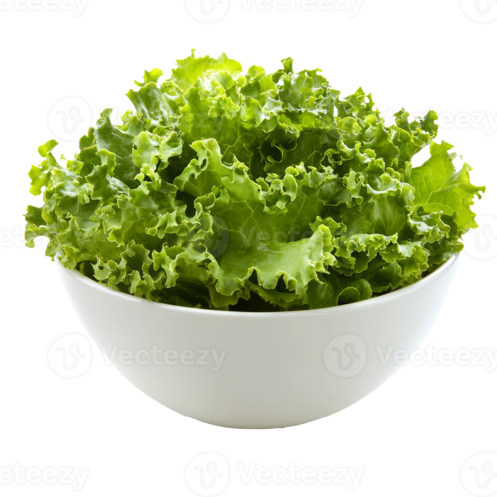 Bowl of fresh green lettuce on counter, cut out transparent png