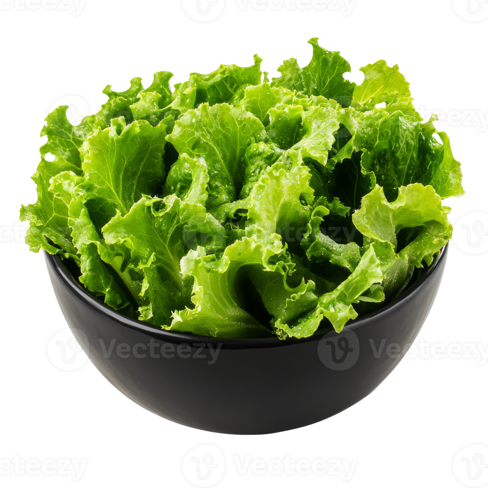 Fresh green lettuce in a black bowl on a table, cut out transparent png
