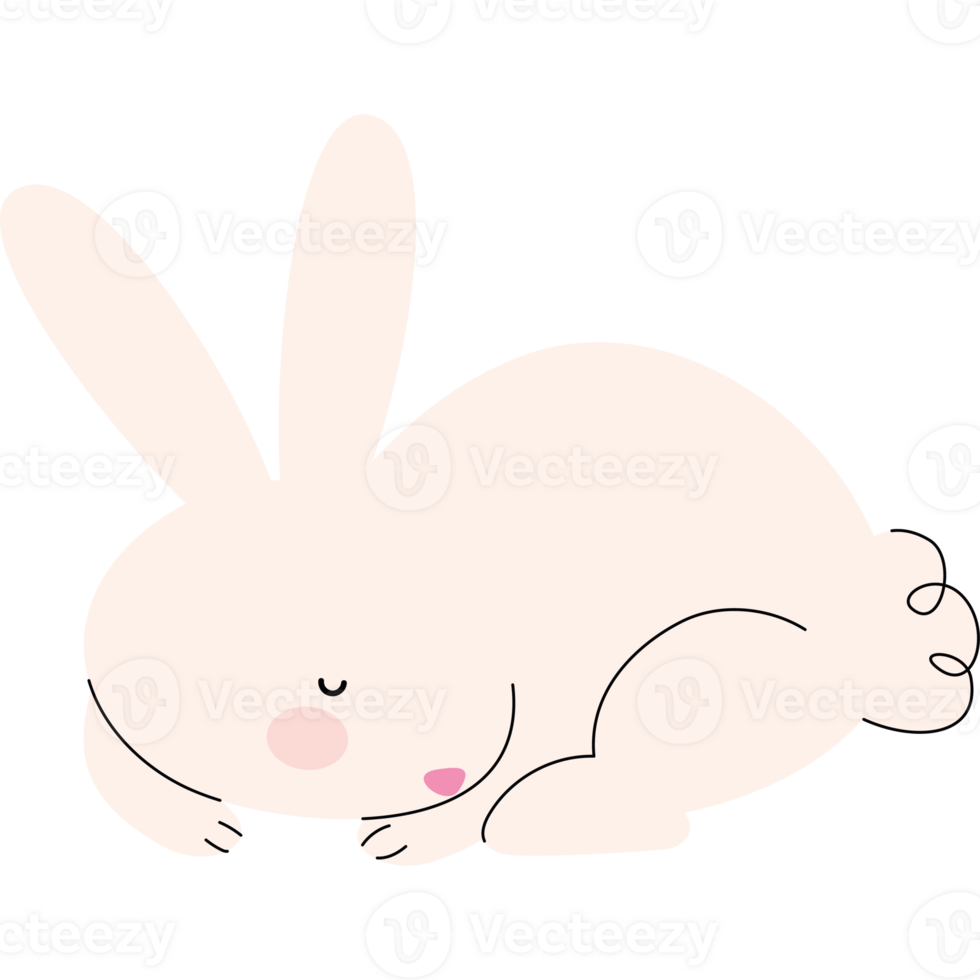 A cute little bunny is sleeping on a black background png